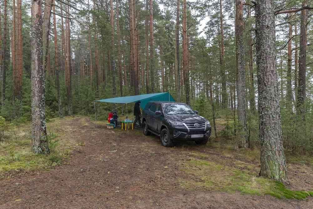 Voiture noire avec auvent bleu déployé en camping forestier entre sapins Voiture noire avec auvent bleu déployé en camping forestier entre sapins